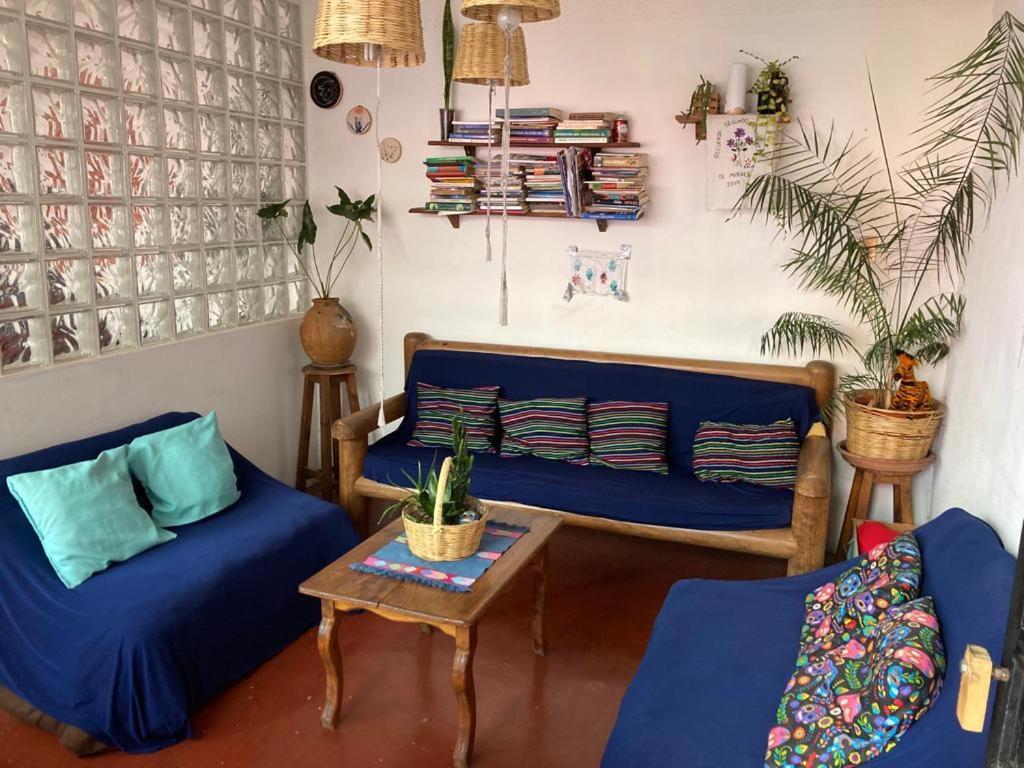 Casa Huipil Hotel San Cristobal de las Casas Bagian luar foto